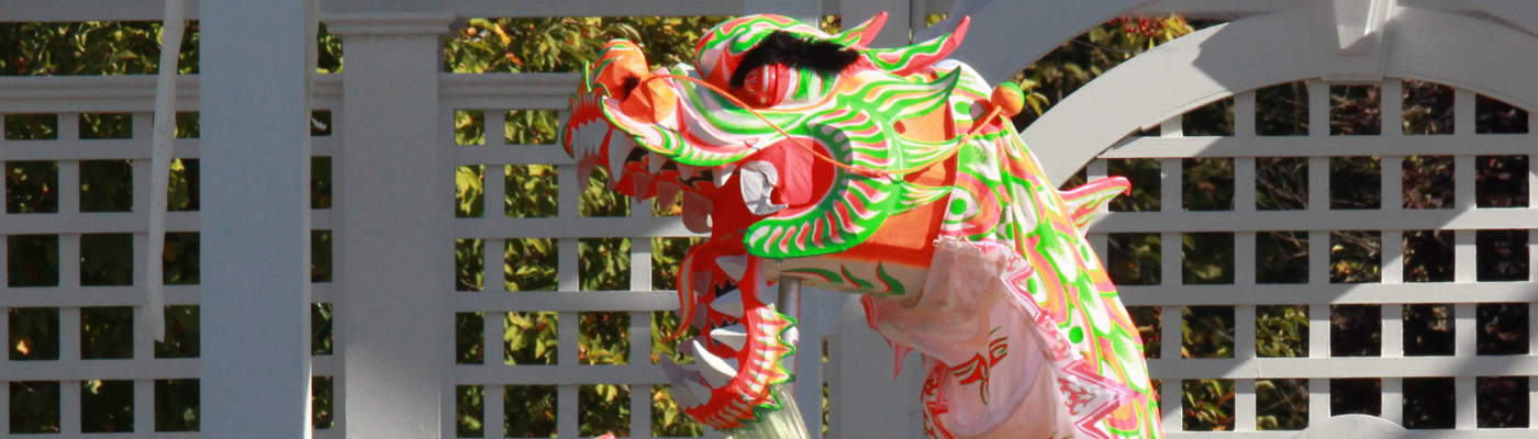 Asian American Dragon & Lion Dance